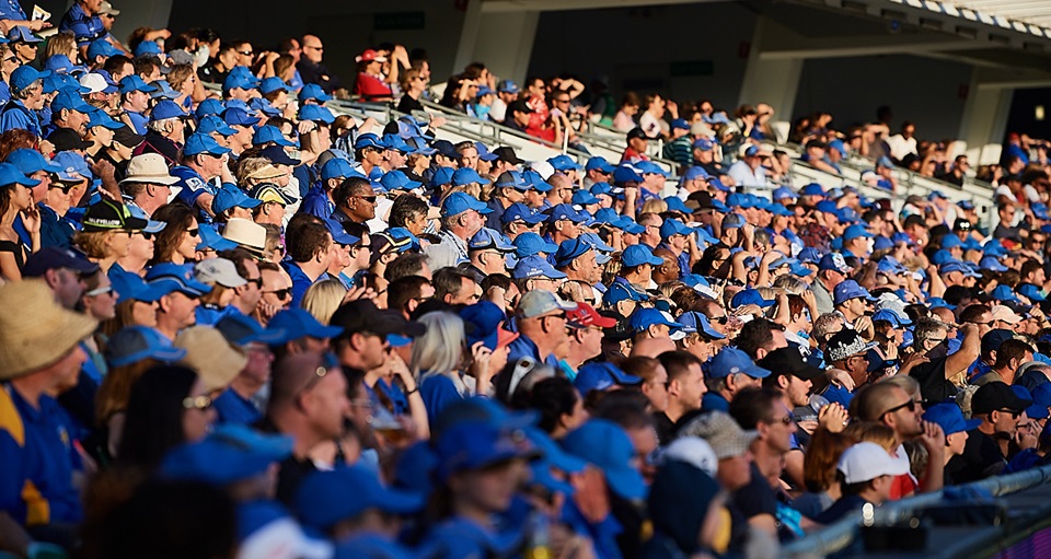 Sea of blue Western Force fans at HBF Park
